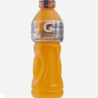 Gatorade Tangerina 500ml - Entrega Rápida